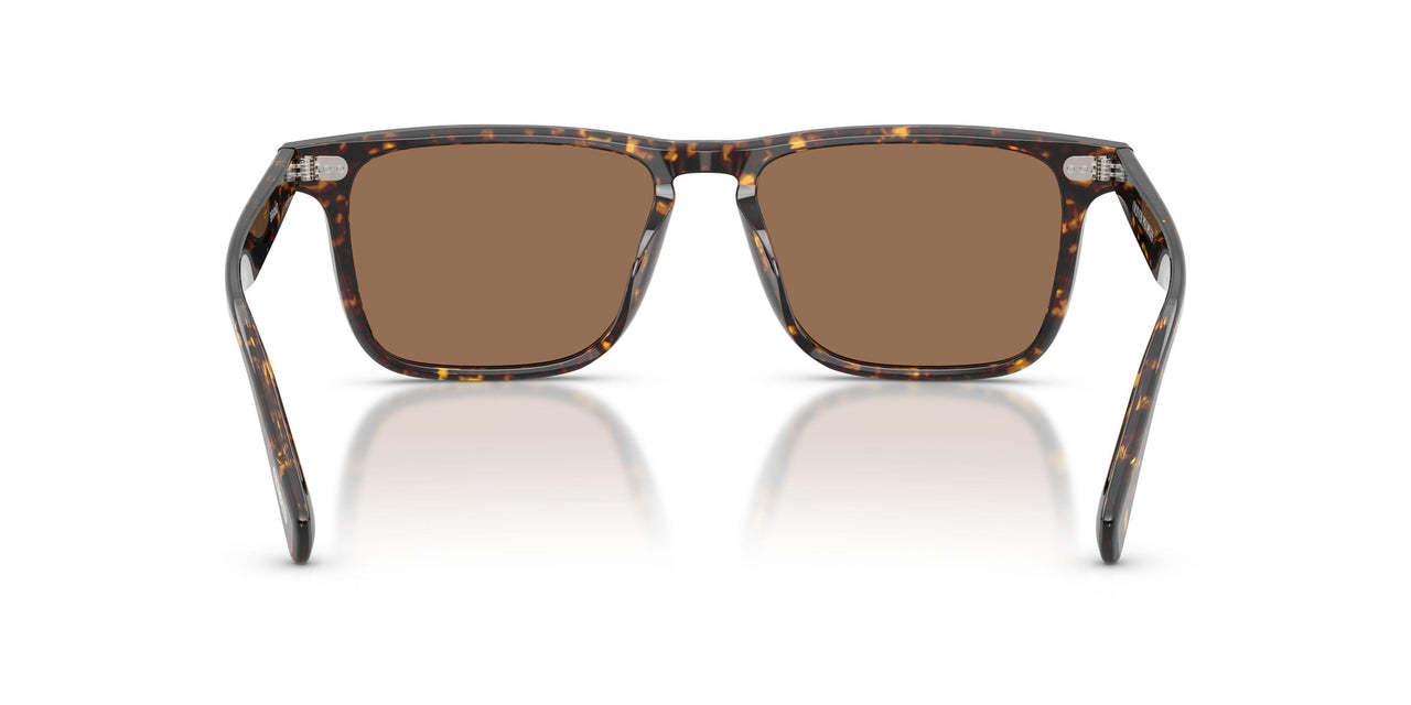 174173 - Tortoise - Brown