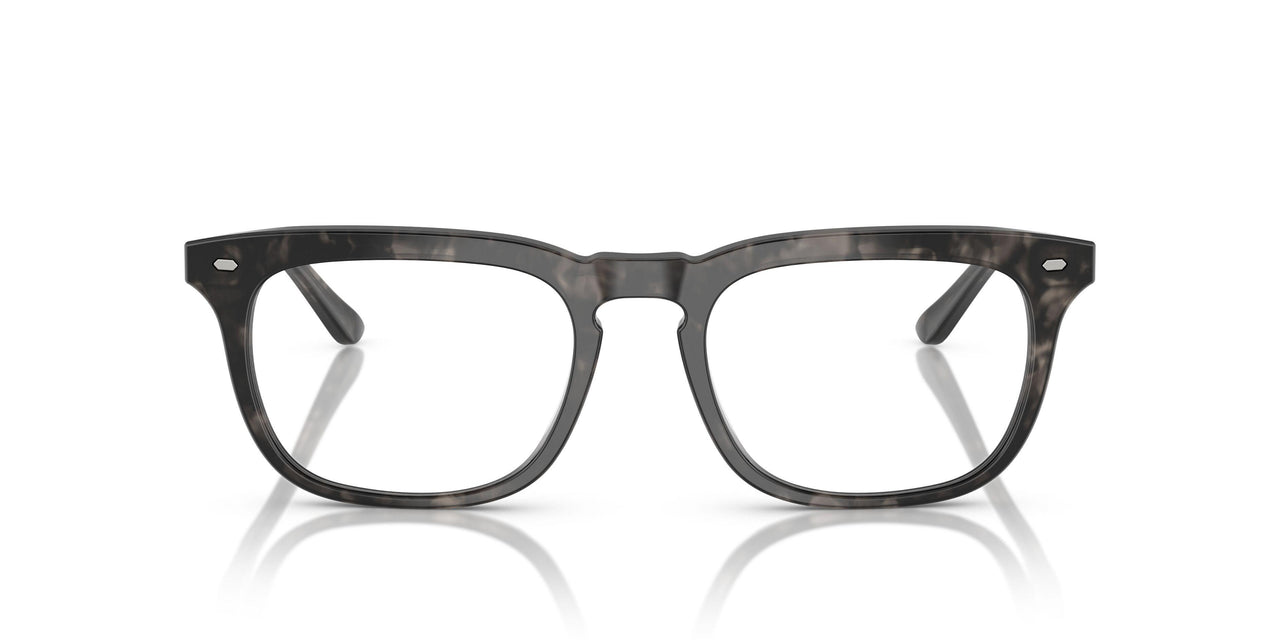 6168 - Tortoise