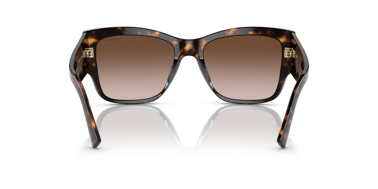 W65613 - Havana - Gradient Brown