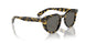 1778R5 - Tortoise - Carbon Grey