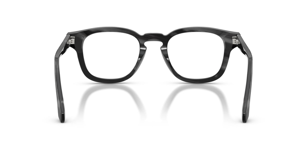 6393 - Tortoise
