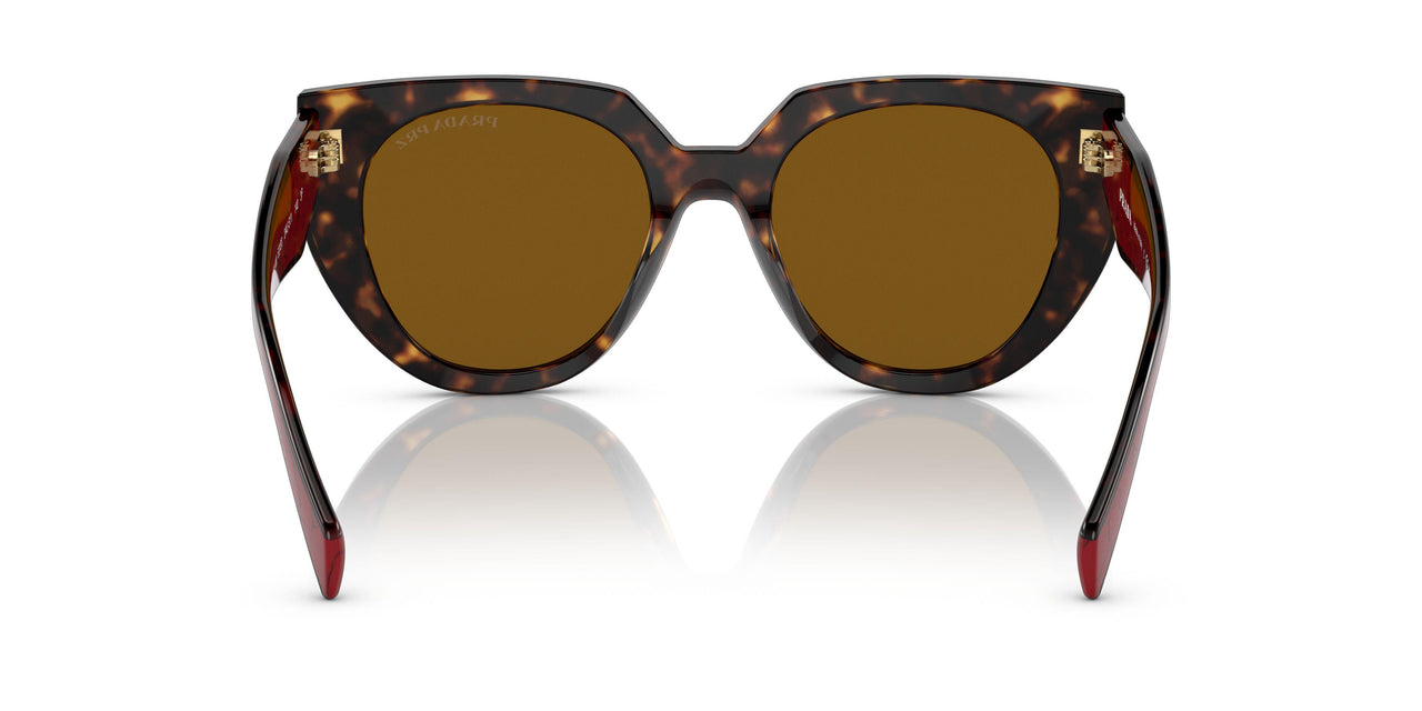 2AU5Y1 - Havana - Dark Brown Polar