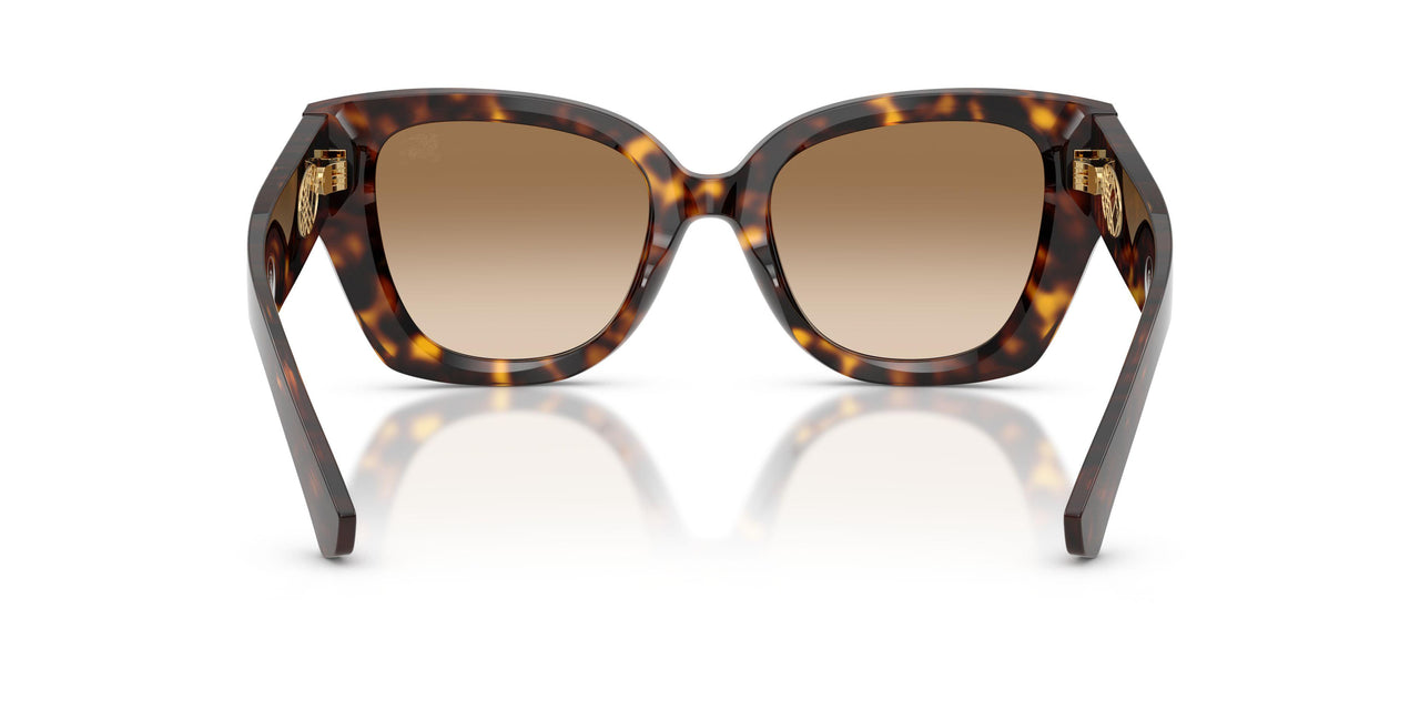 300289 - Brown - Brown Gradient