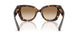 300289 - Brown - Brown Gradient
