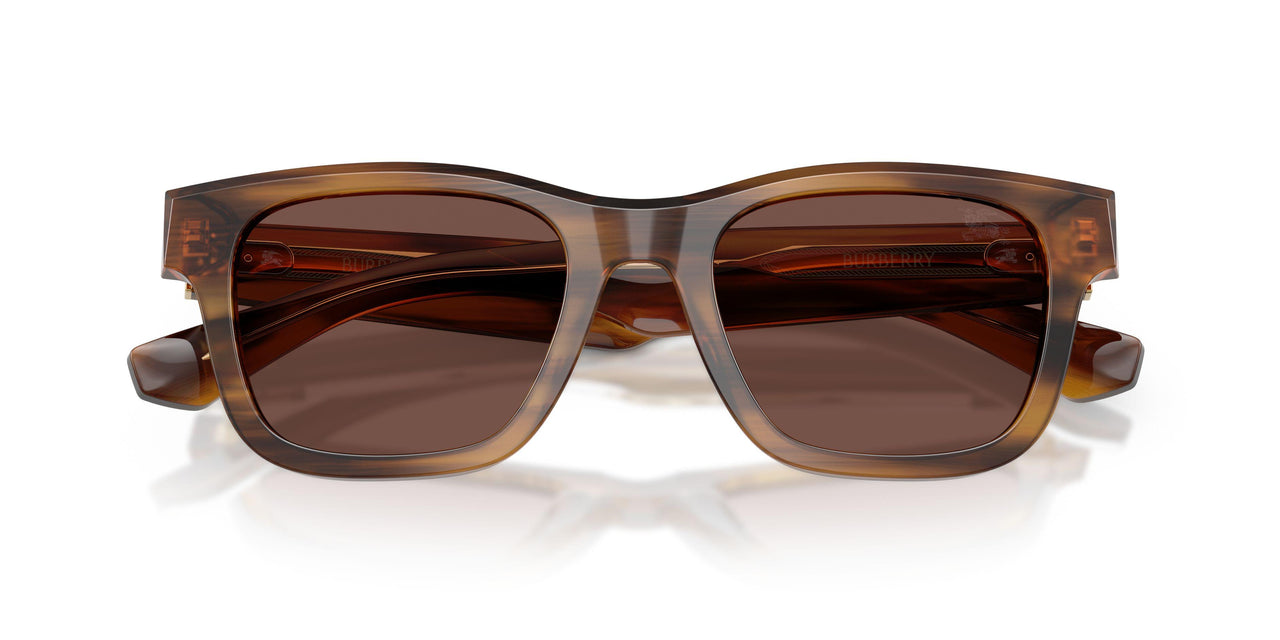 425373 - Tortoise - Black Chocolate