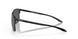 604802 - Black - Prizm Black Polarized