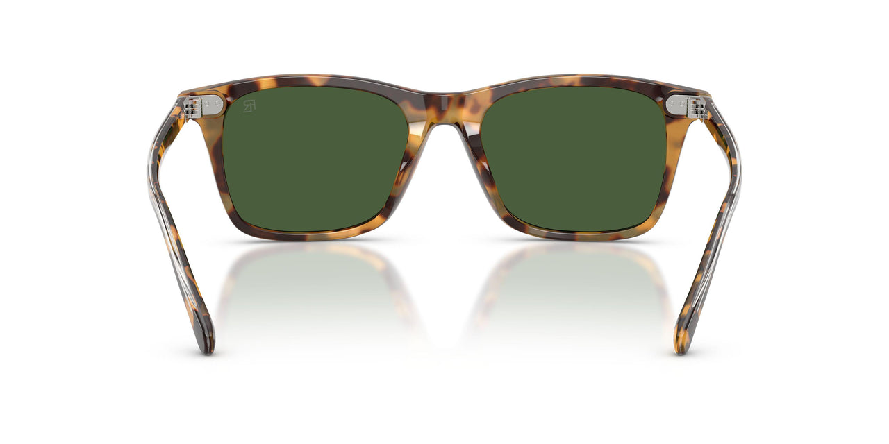 633971 - Tortoise - Bottle Green