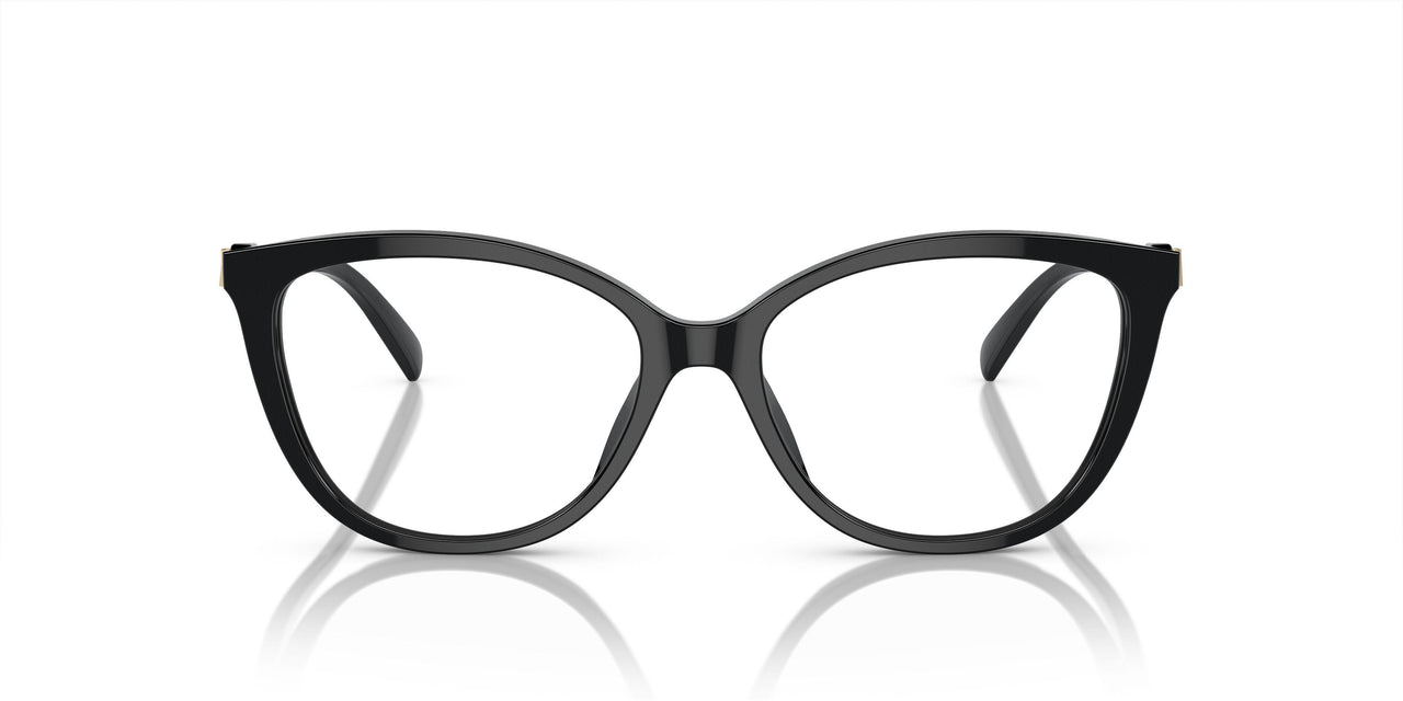 3005 - Black