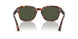 24/31 - Havana - Green
