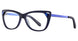 50 - Dark Blue & Shiny Blue