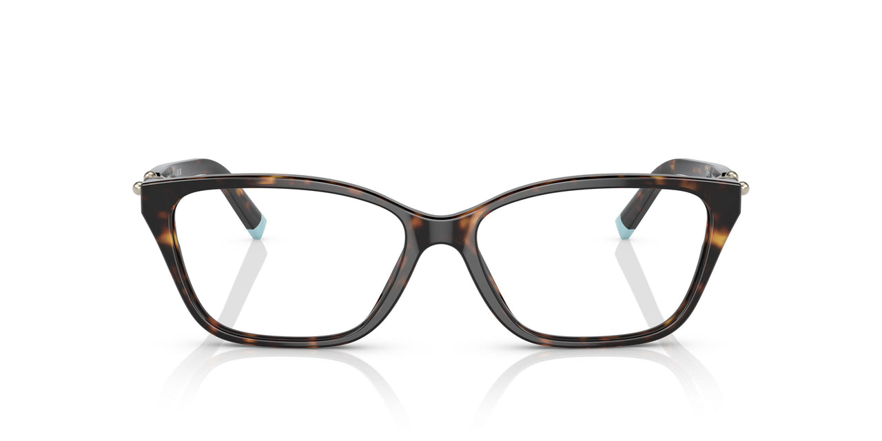 8015 - Tortoise