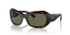 902/58 - Tortoise - Green