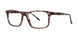 Modern Plastics I PRONTO Eyeglasses