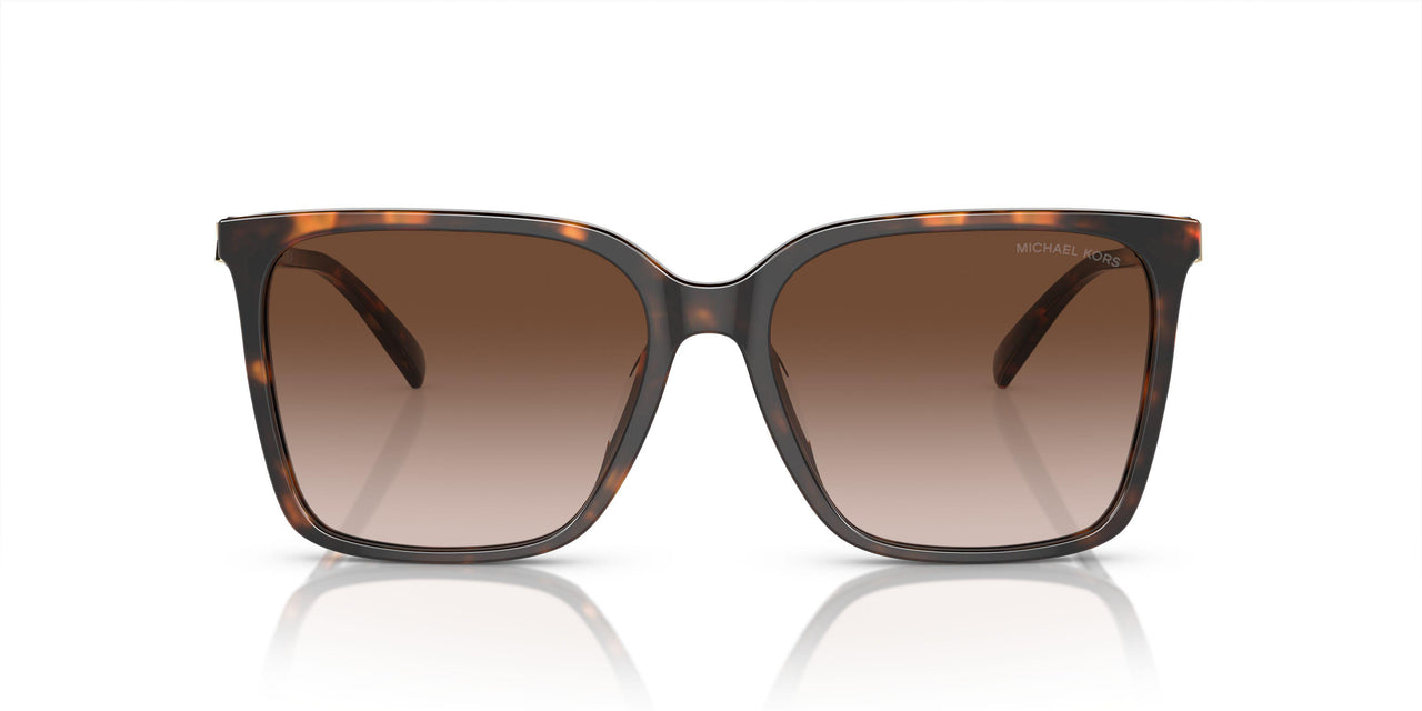 300613 - Tortoise - Brown Gradient