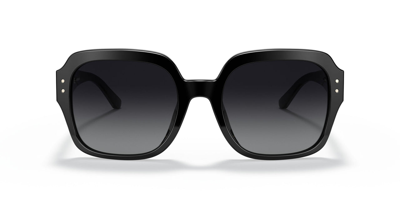 1326T3 - Black - Grey Gradient Polar