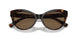 500373 - Tortoise - Brown
