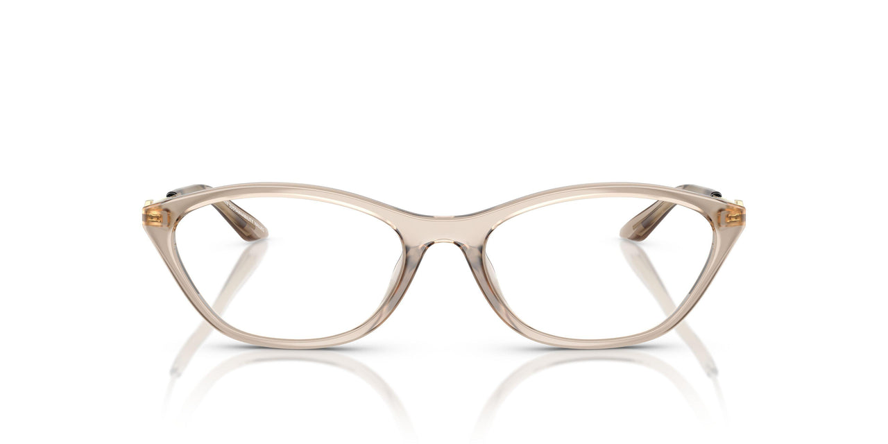 8366 - Brown