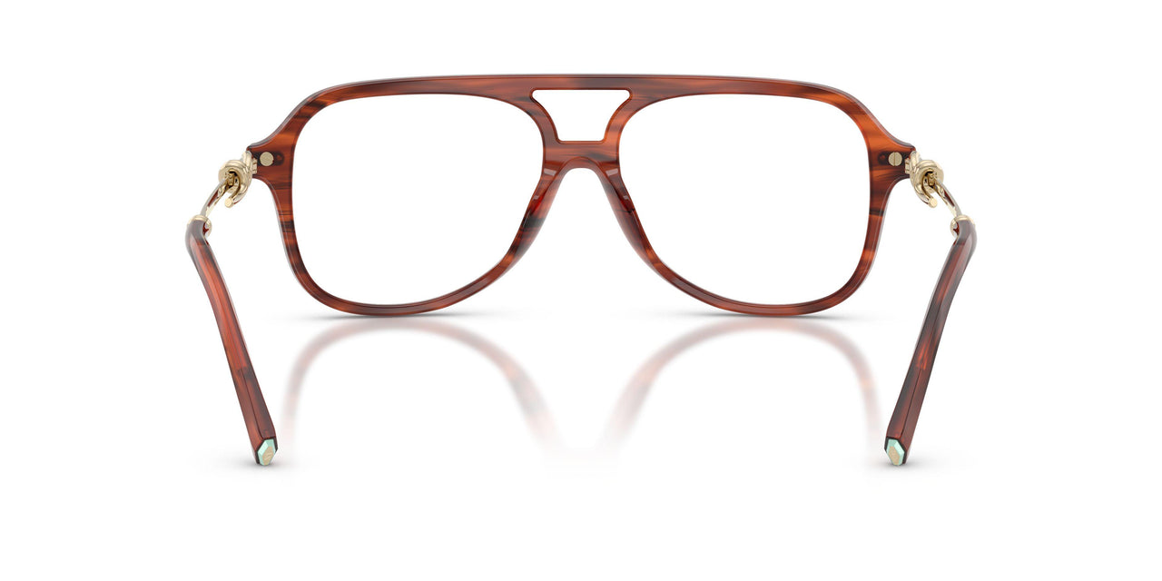 8440 - Tortoise