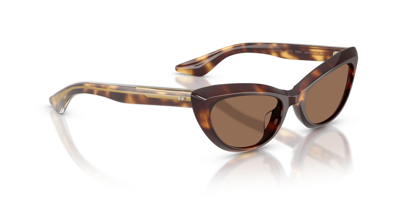 100773 - Tortoise - Brown