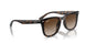710/13 - Tortoise - Brown