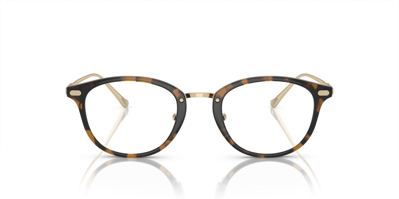 5120 - Tortoise