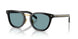 16K04D - Black - Green Polar