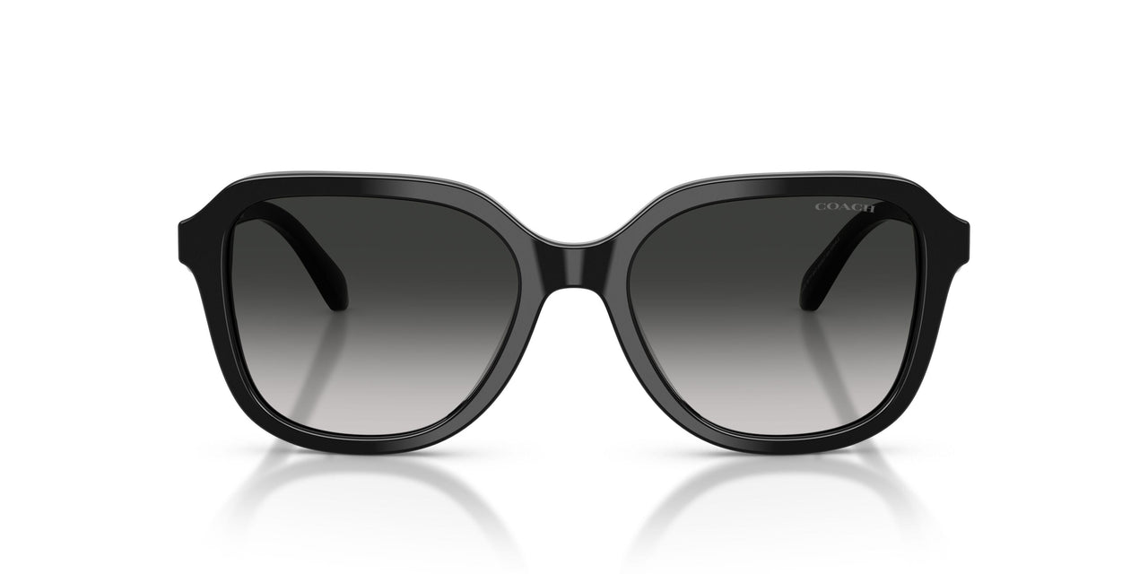 50023C - Black - Grey Gradient