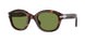 24/4E - Tortoise - Green