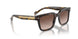 W65613 - Brown - Gradient Brown