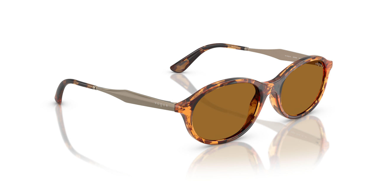 320083 - Tortoise - Bronze Polar