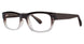 Modern Plastics I PARALLEL Eyeglasses