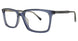 Blue - Tortoise/blue