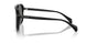 300181 - Black - Polarized Dark Grey