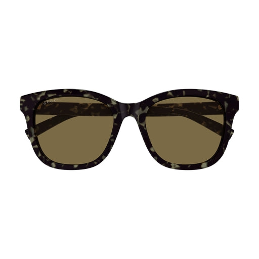 003 - Havana - Brown