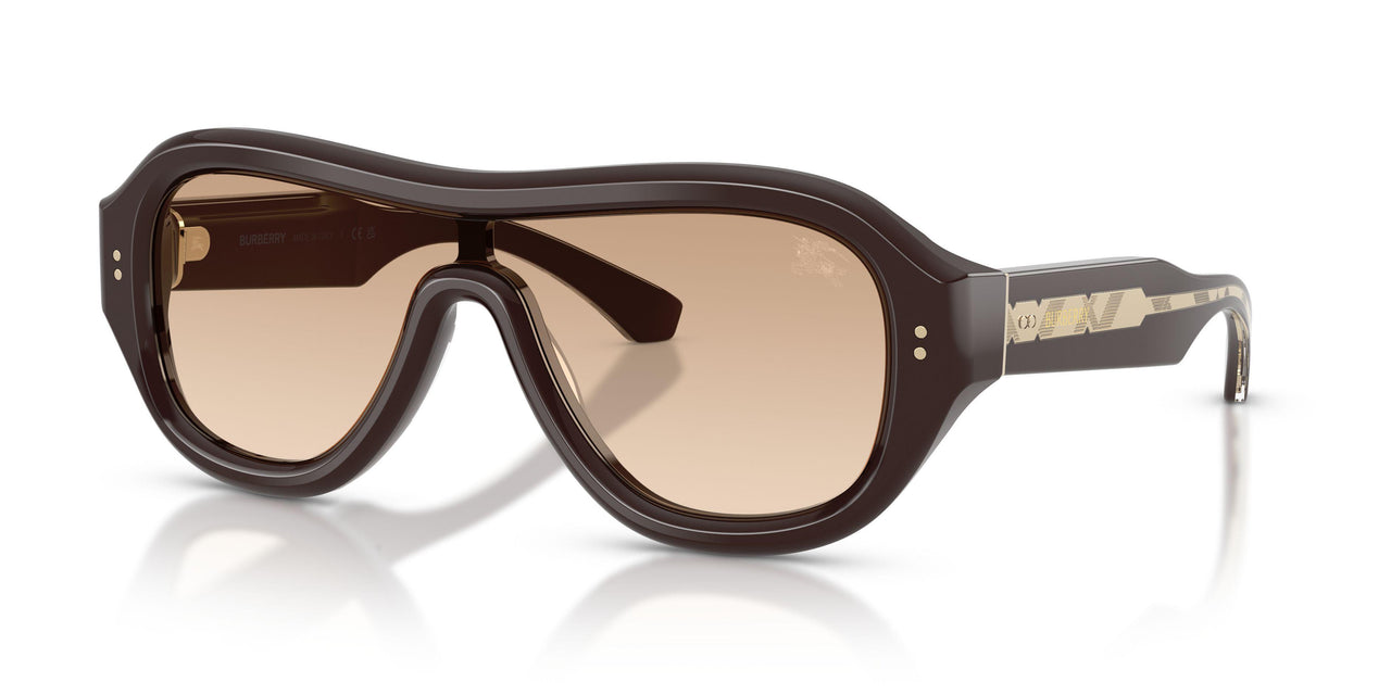 42748D - Brown - Brown Gradient