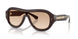 42748D - Brown - Brown Gradient
