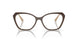 3101 - Brown