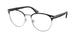 Polo 1226 Eyeglasses