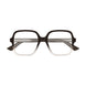 006 - Brown - Transparent