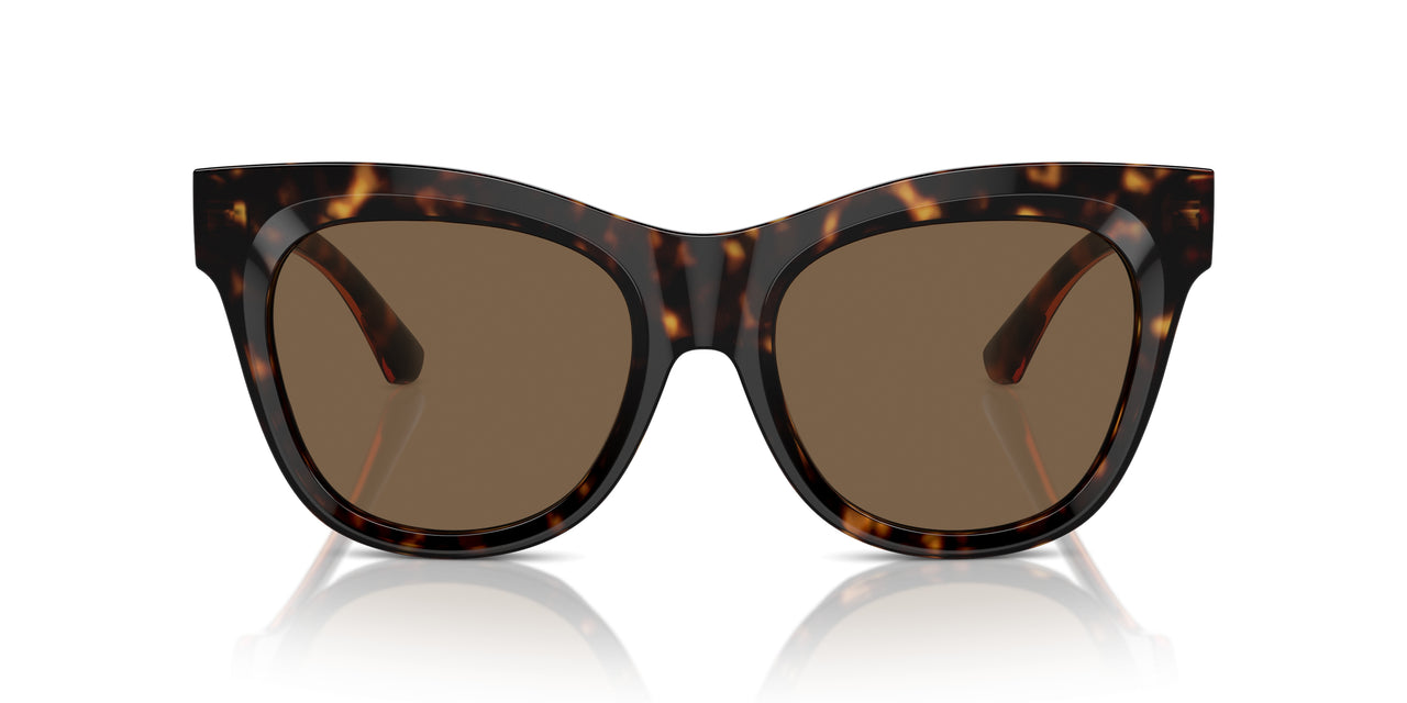 300273 - Brown - Dark Brown
