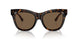 300273 - Brown - Dark Brown