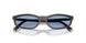 22C60O - Brown - Light Blue