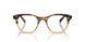 1703 - Brown