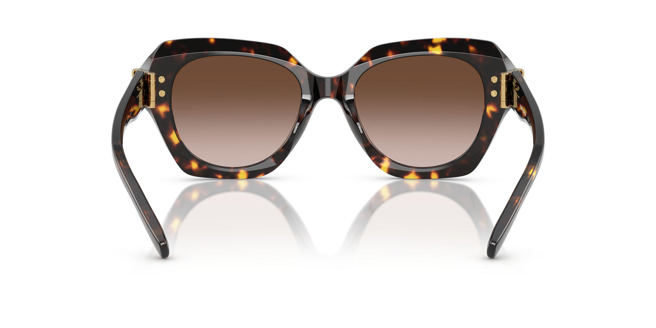 201613 - Tortoise - Brown Gradient