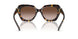 201613 - Tortoise - Brown Gradient