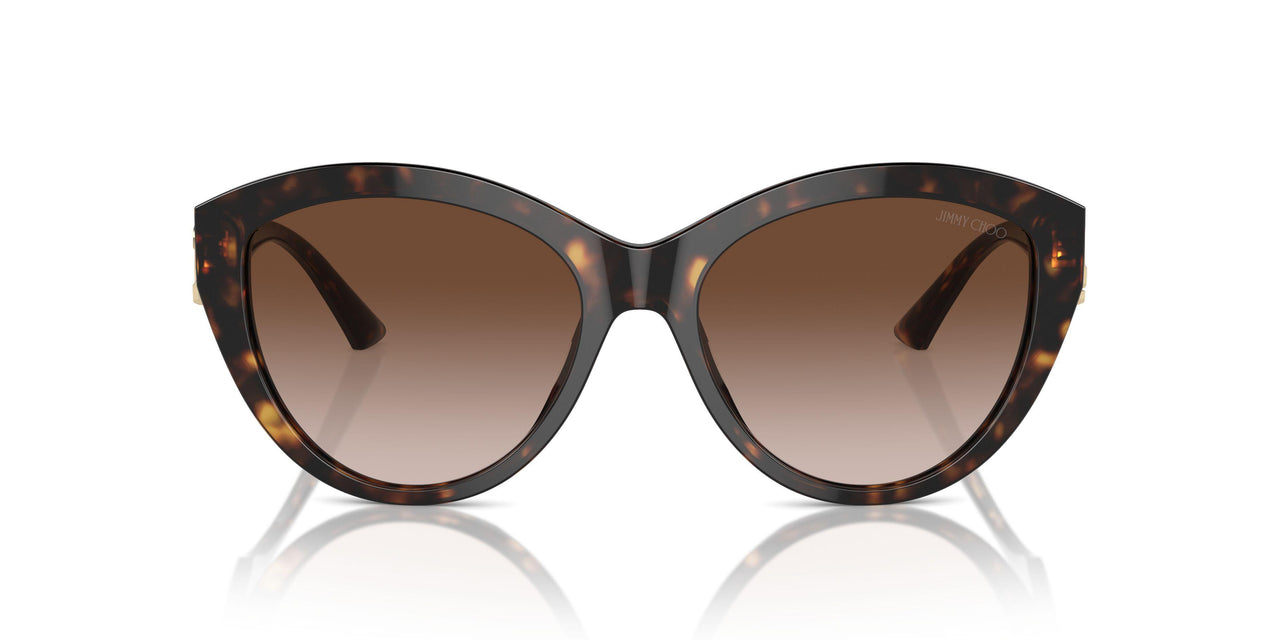 500213 - Tortoise - Gradient Brown
