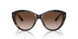 500213 - Tortoise - Gradient Brown