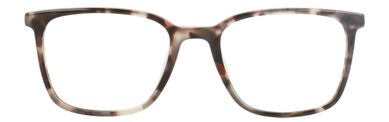 PRA - Prairie Paisley