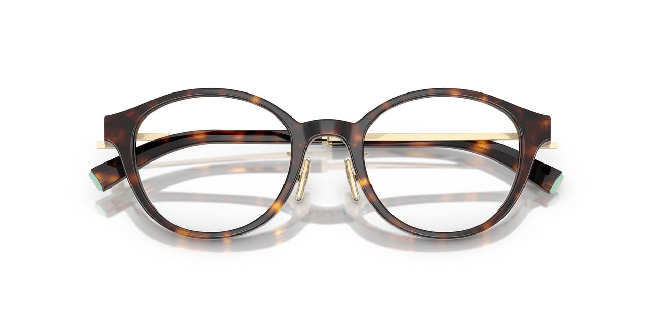 8015 - Tortoise