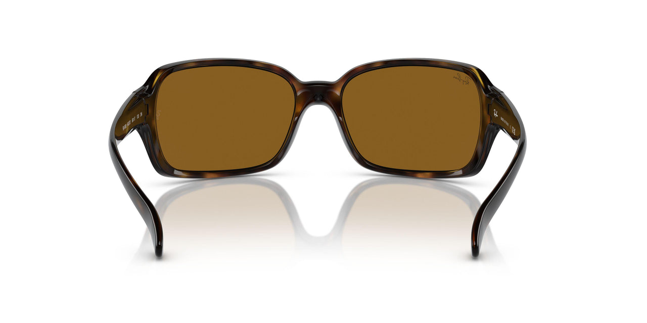 642/33 - Tortoise - Brown